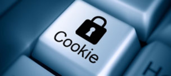 Informativa sull&#039;uso dei cookie